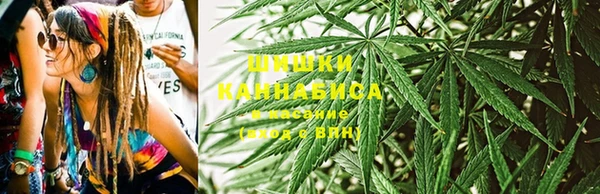 сатива Алексеевка