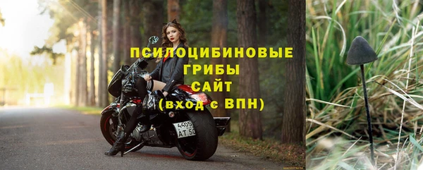 сатива Алексеевка
