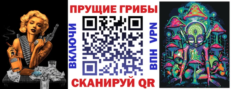 omg tor Белая Холуница Псилоцибиновые грибы MAGIC MUSHROOMS